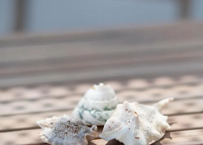 Luxury Thomas & Irini