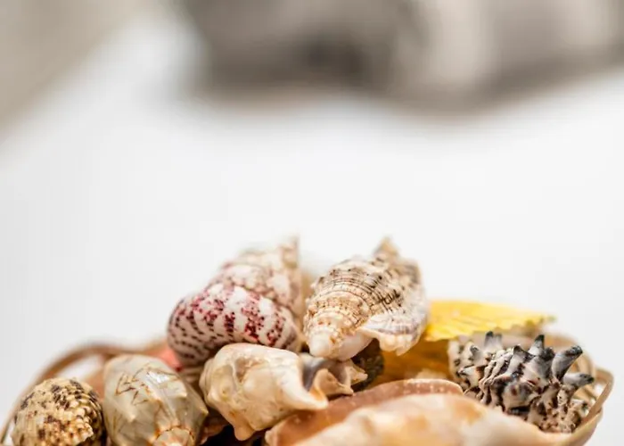 Luxury Thomas & Irini Apartamento *